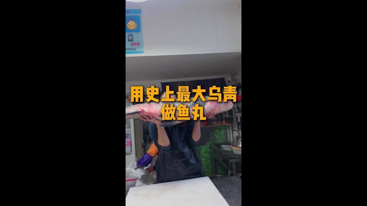用史上最大乌青做鱼丸#美食#记录生活#鱼丸