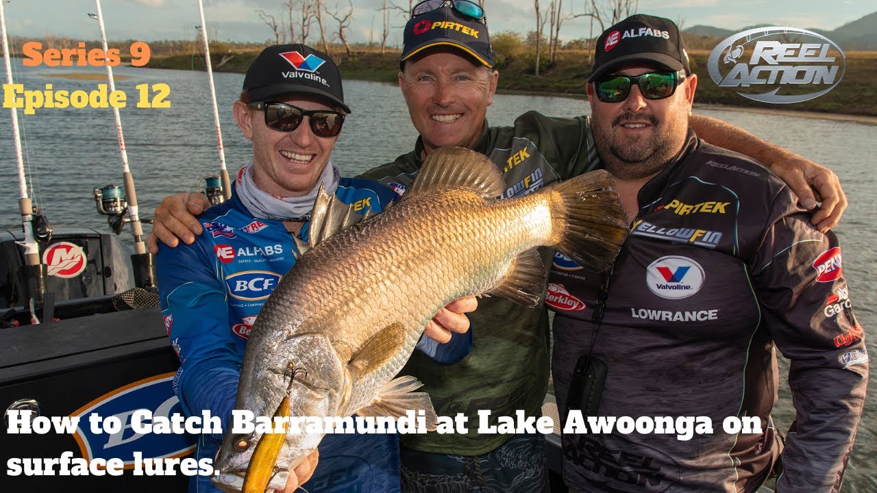 How to Catch Barramundi at Lake Awoonga