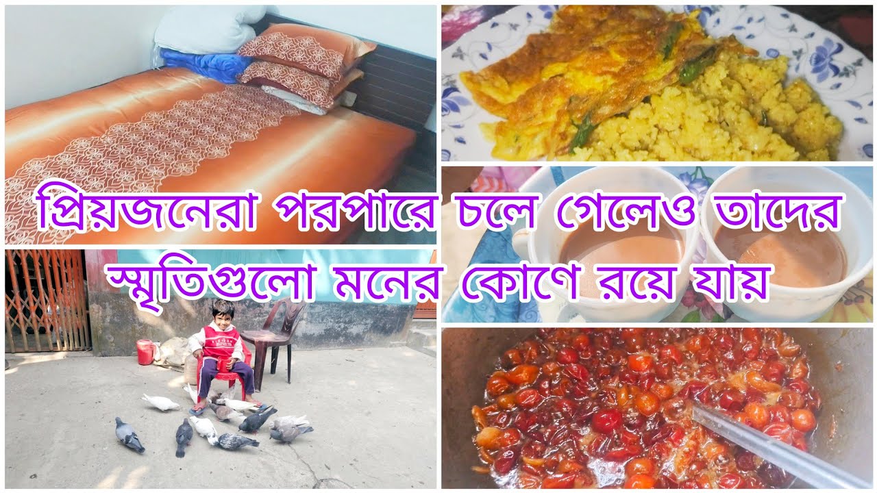 নিজের বাড়ির মত প্রাণবন্ত সময় অন্য কোথাও পাওয়া যায় না || প্রিয়জনের স্মৃতিগুলো মনের কোণে রয়ে যায়