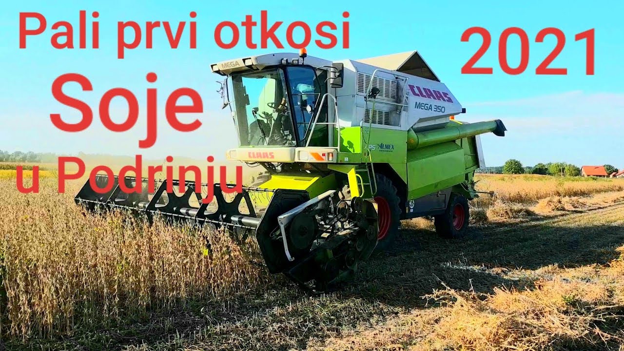 Zetva Soje 08.09.2021. | CLAAS MEGA 350 | soybean harvest 2021. claas mega 350