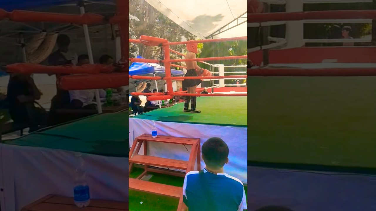 Жемчина Кыргызстана 2025 Выход Ариф Лоянов #arifloyanov #boxing #kickboxing #sports #shortsvideo