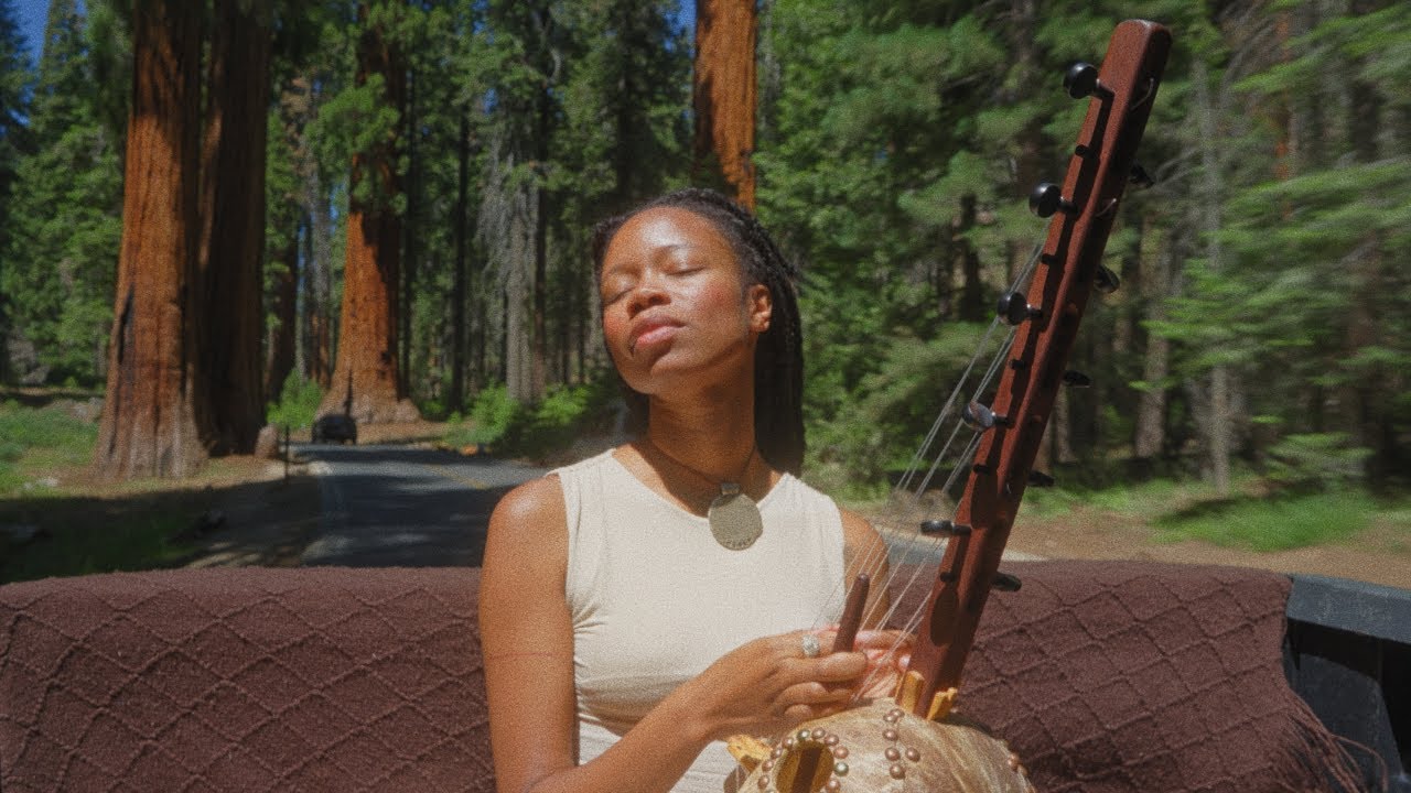Sequoia Suns (1 hour) - Healing Ngoni Music - Receiving Signals from the Heavens