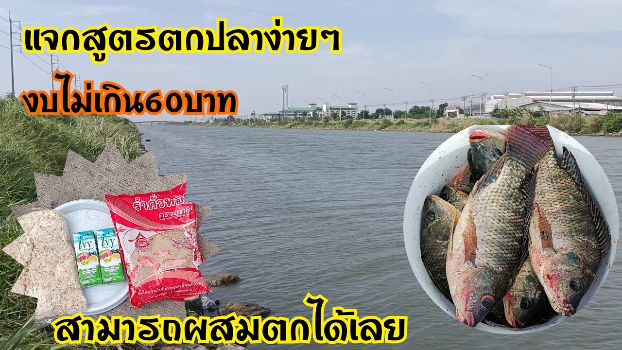 ตกปลานิล ปลาตะเพียน ง่ายๆงบไม่เกิน60บาท ไม่ต้องหมัก ผสมหน้าหมายตกเลย