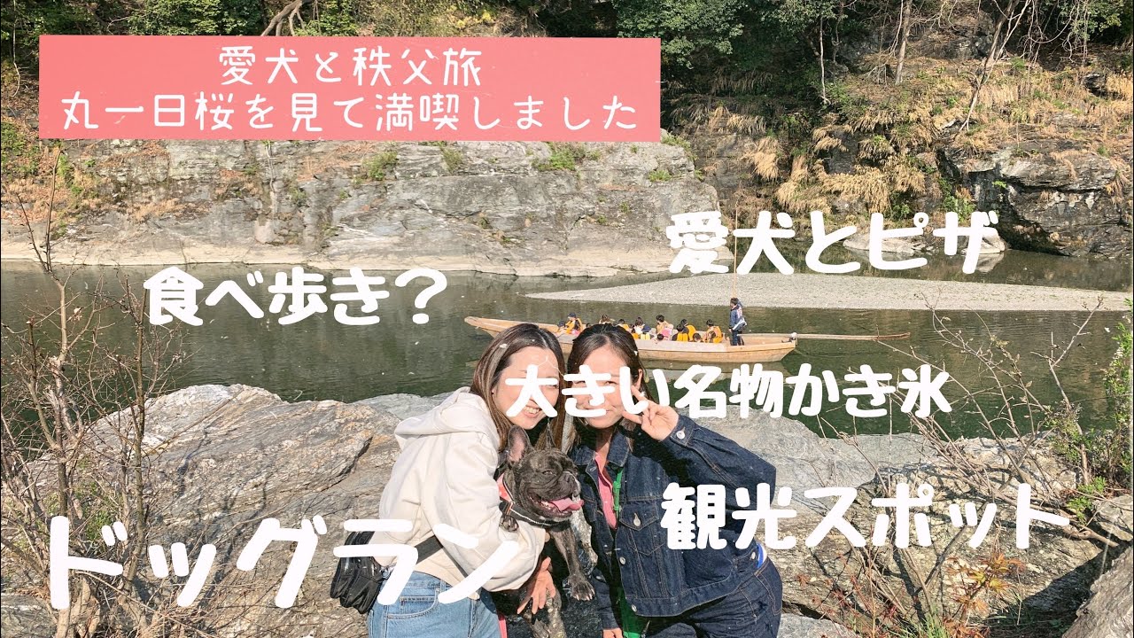 愛犬と秩父日帰り旅！犬とお出かけ[埼玉県秩父市]ドッグランあり/食べ歩き/かき氷