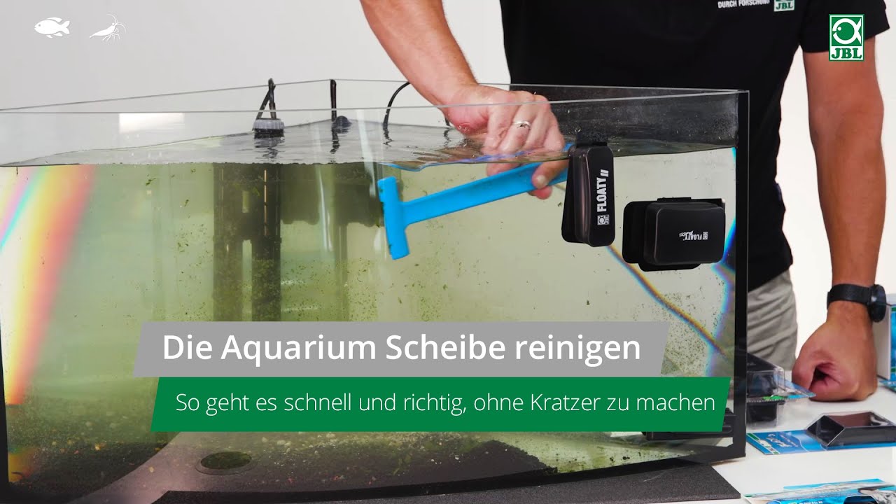 JBL TV #29: Die Aquarienscheibe reinigen - So geht es schnell und richtig, ohne Kratzer
