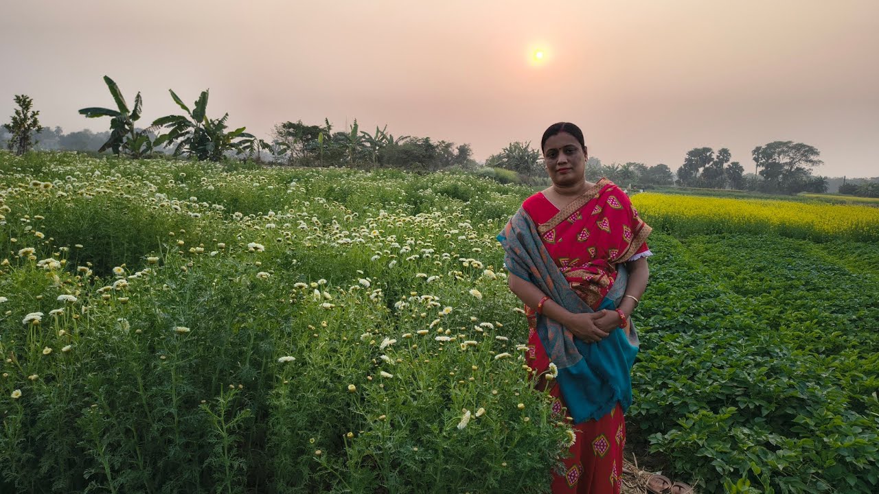 Sosur বাড়ি গিয়ে মাঠ এ ফুল চাষ দেখতে গেলাম#koto ful gach dekhe mon vore galo❤️❤️Village garden 