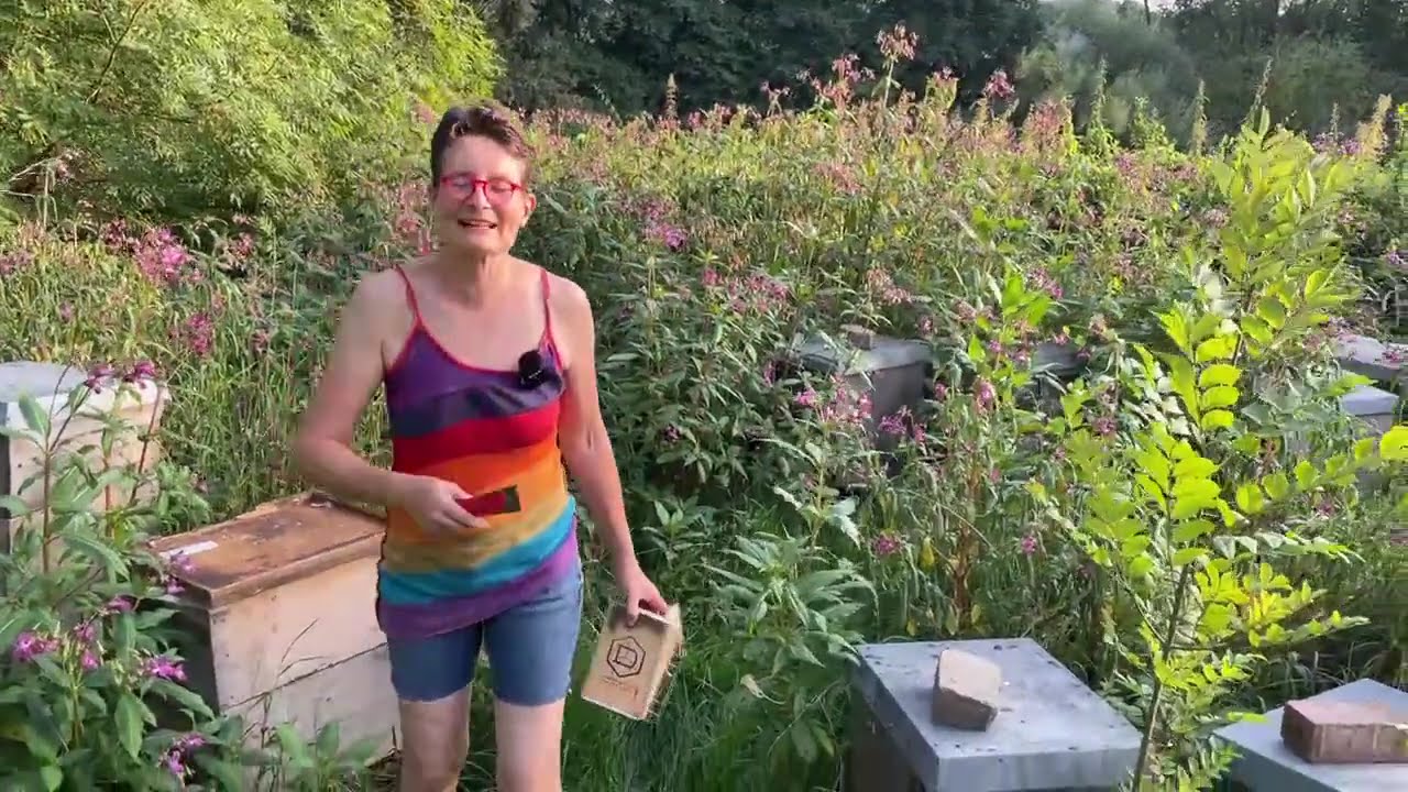 Live von Pias Bienenstand - 13.08.2025