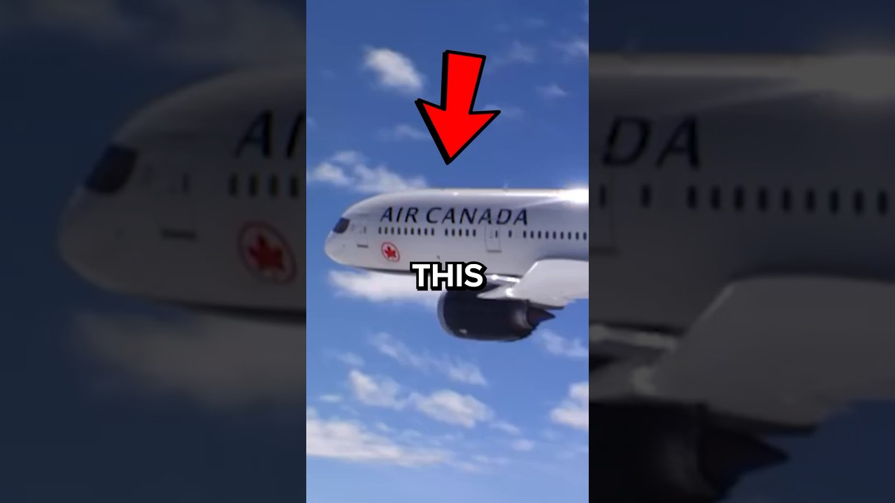I FLEW FIRST CLASS ON CANADA&rsquo;S BEST AIRLINE!✈️