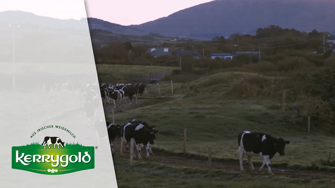 Farmer Kieran O'Sullivan ► Kerrygold
