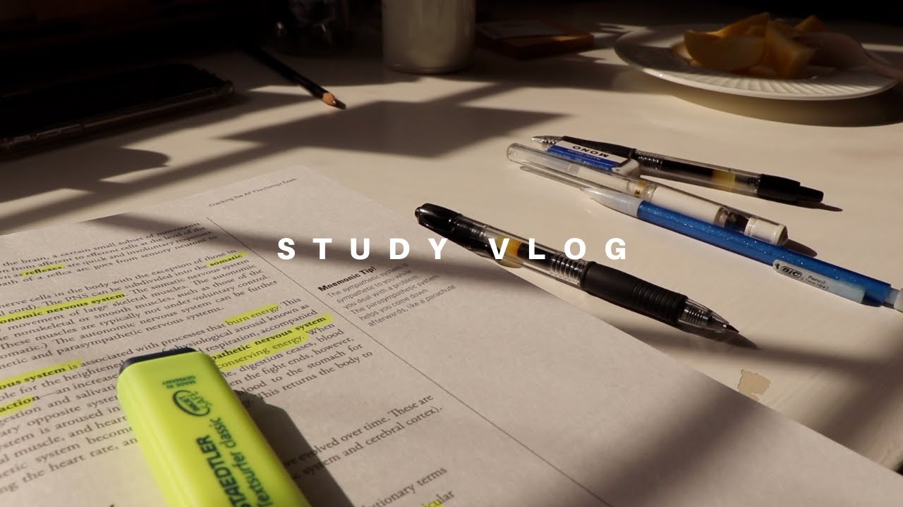 [한국어] rainy day study vlog (ap exams study with me)