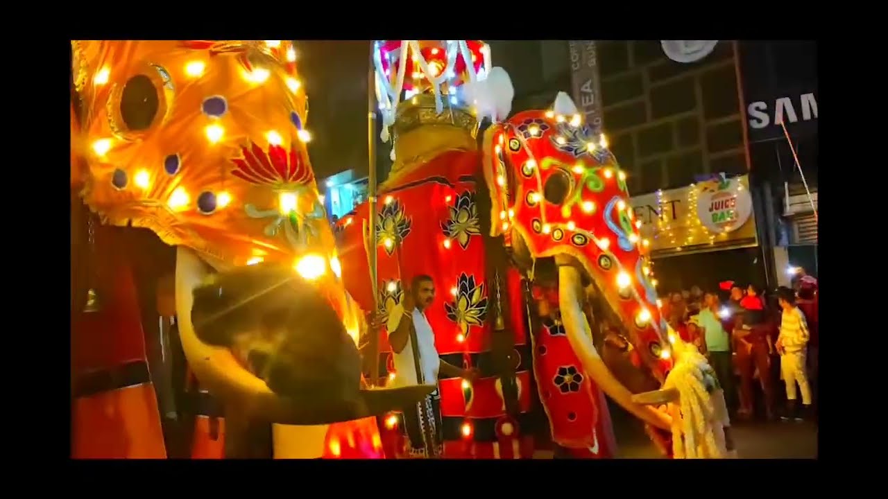 වේයන්ගොඩ  මිහිඳු මහා පෙරහැර චමත්කාරය 2024|Veyangoda Mihidhu Maha Perahara 2024