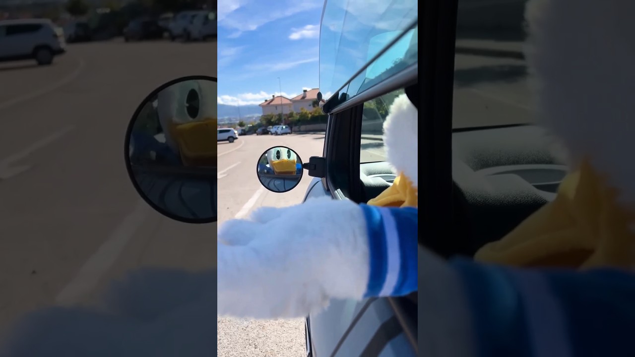 Hoy me he acercado a la concesi&oacute;n de Citro&euml;n Blendio y he tenido un aut&eacute;ntico CRUSH ❤️🦆
