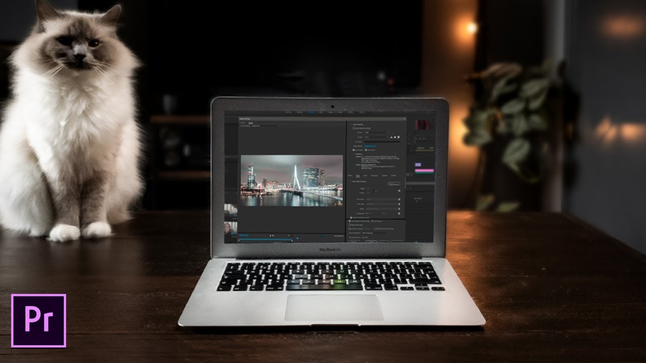 BEST Export Settings Adobe Premiere Pro For YouTube | Learn Premiere Pro 2021 in 15 minutes!