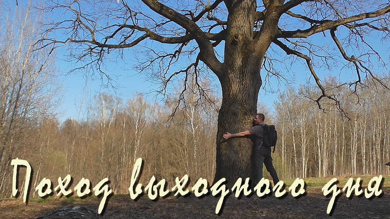 ПВД. Подмосковье. Весенний лес. Суп на костре.