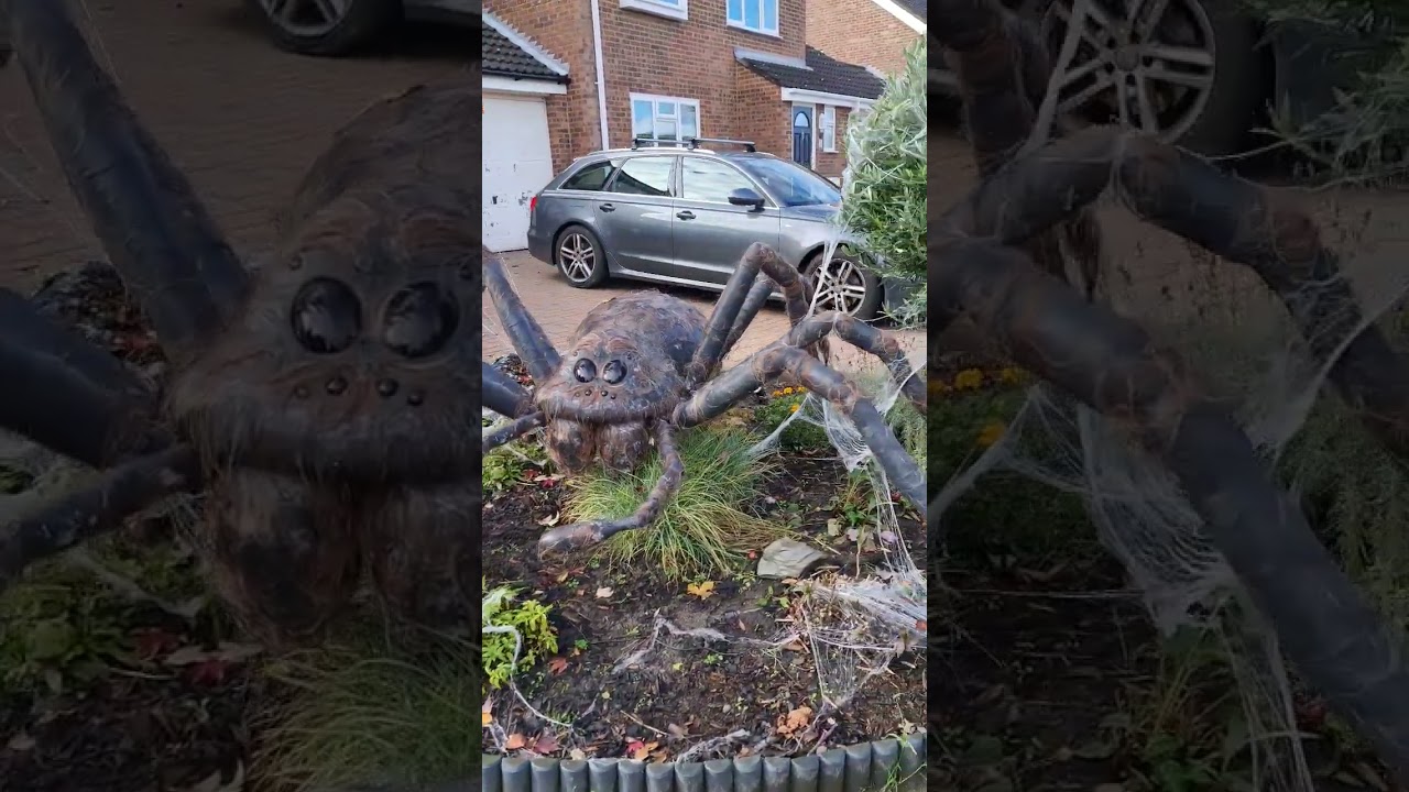Only gone & found Aragog in the neighbours garden #shorts Harry Potter Halloween Forbidden Forest