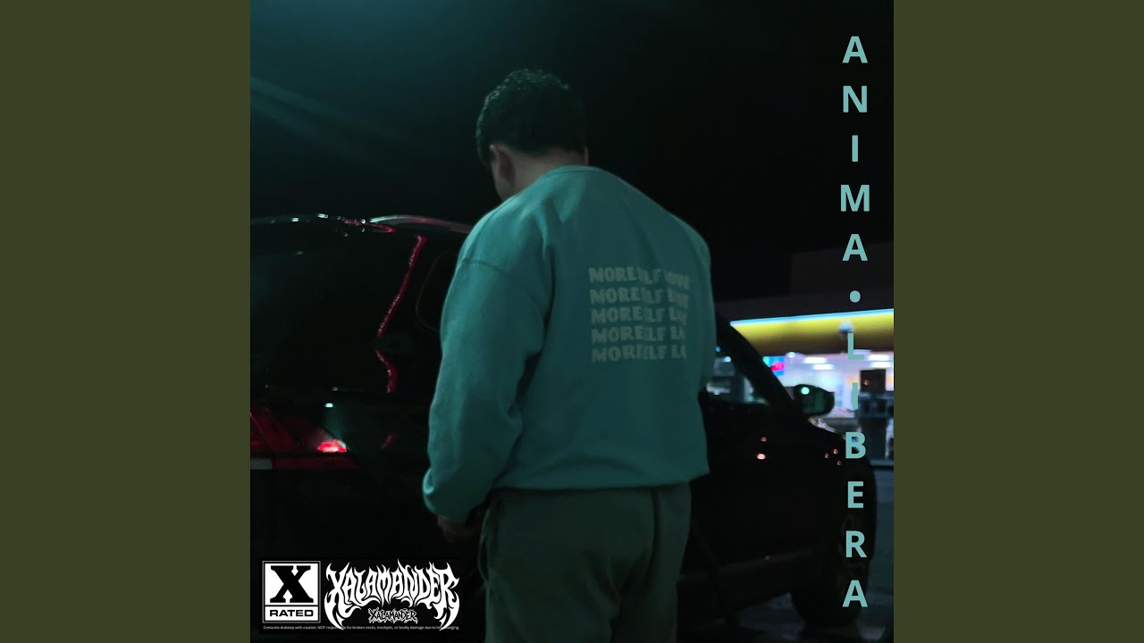 ANIMA LIBERA (Hardstyle Remix)