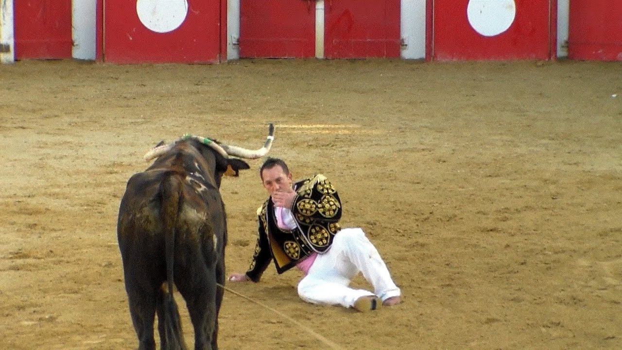Vielle-Tursan 16/03/14 Deyris (2° partie)
