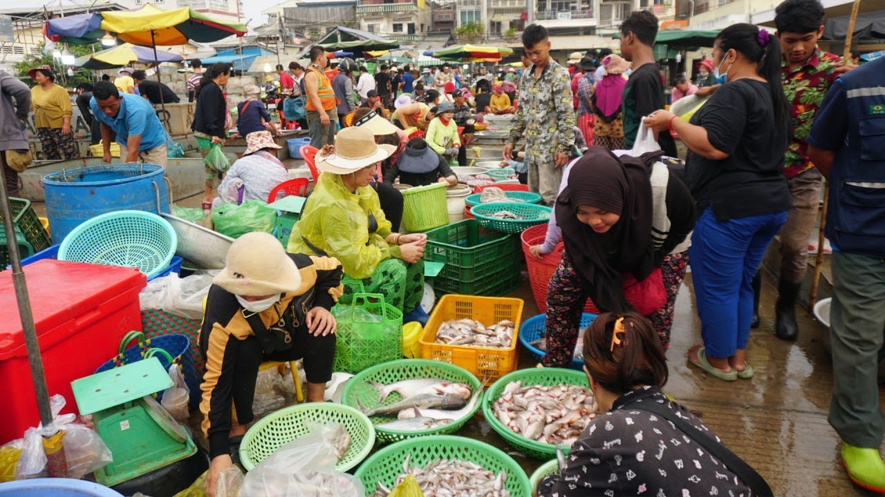 Amazing Site Distribute Dry Fish, Fish & Seafood - Daily Lifestyle of Vendors Selling Fish & More