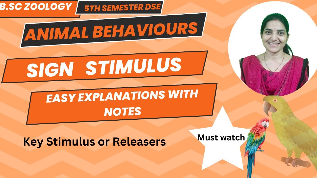 Sign stimuli Animal Behaviour B. Sc Zoology 5th Semester ||key stimulus or Releasers #signstimuli