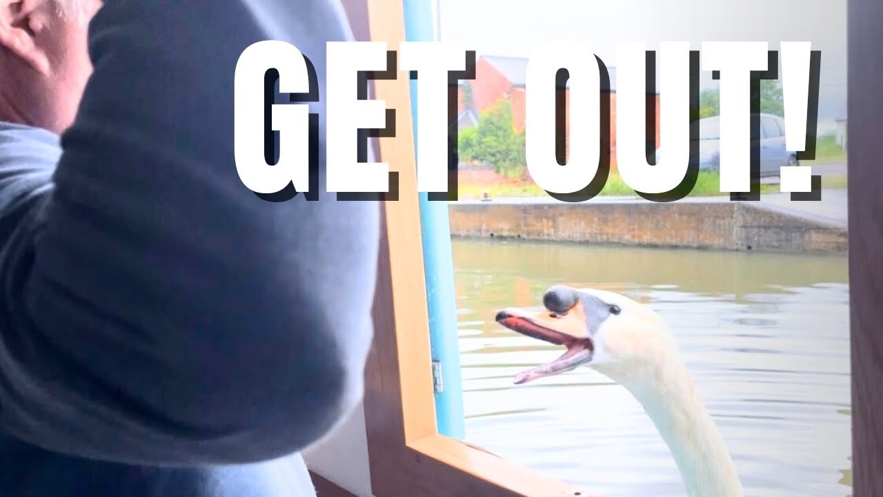 An Unwelcome Visitor On Our Narrowboat! Life On The Grand Union Canal Ep 94