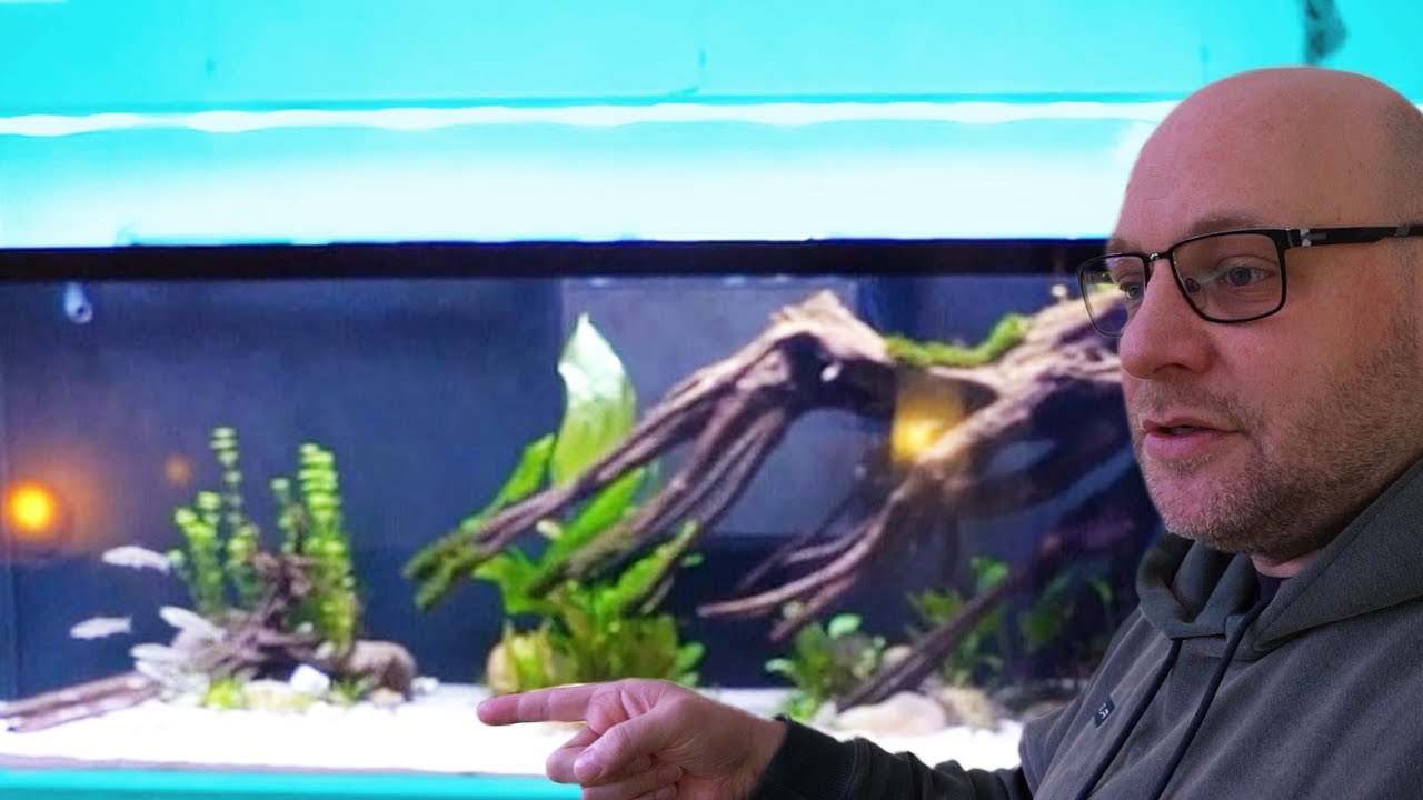 17.000€ für das 1900 LITER Biotop AQUARIUM