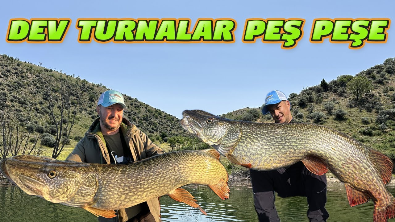 Dev Turnalar Peş Peşe Geldi.Sislerin İçinde Şahane Turna Balık Avı.Kör Turna Yakaladık İnanamadık.