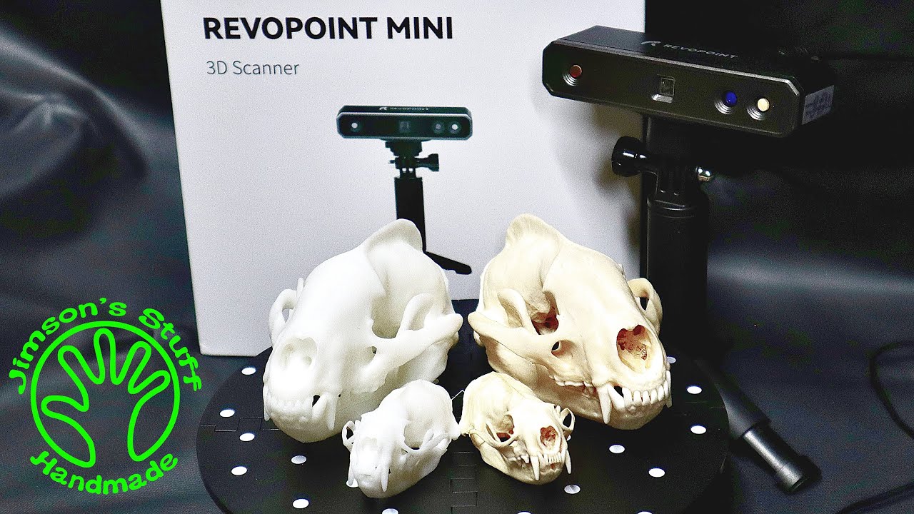 Scanning Skulls with the Revopoint MINI 3D Scanner