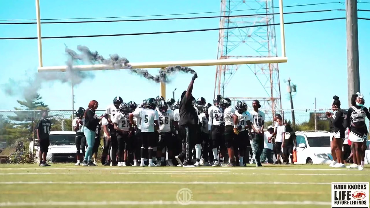 AC Dolphins Highlights