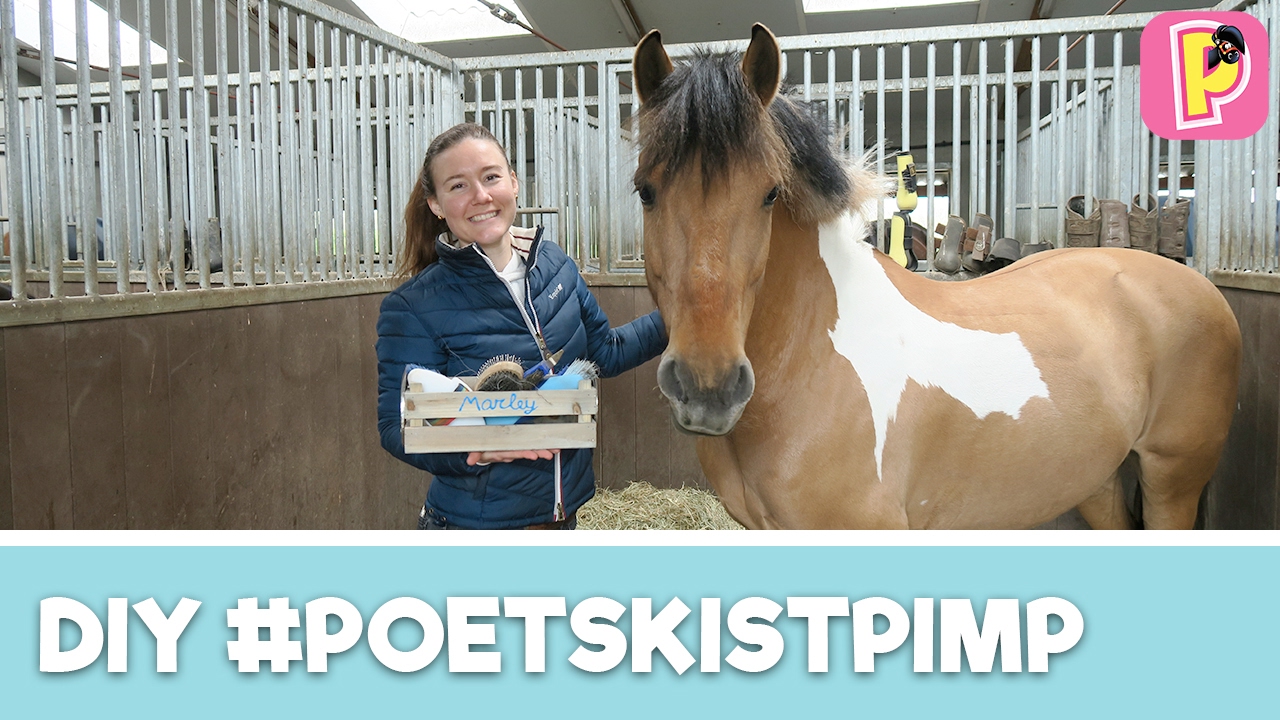 Pimp je poetskist met Felinehoi! | DIY | PennyTV