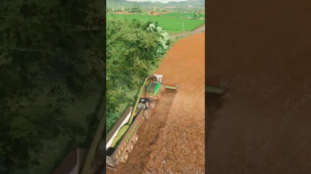 Getting Sorghum For Winter Feed Part 1  #giantssoftware #simfarming #farmingsimulator22  #farm22