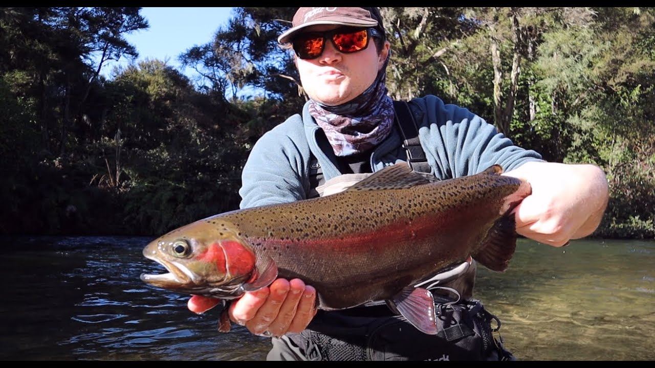 I fished the Hinemaiaia River for the First time