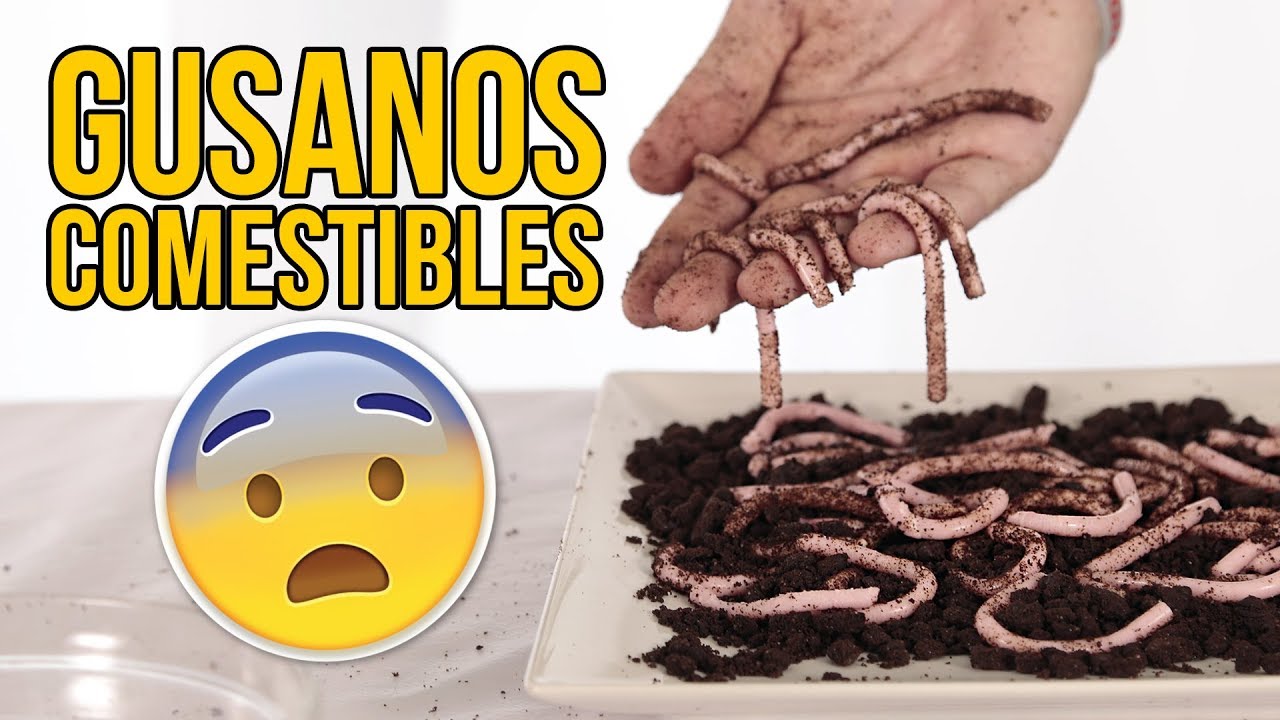 GUSANOS COMESTIBLES de gelatina