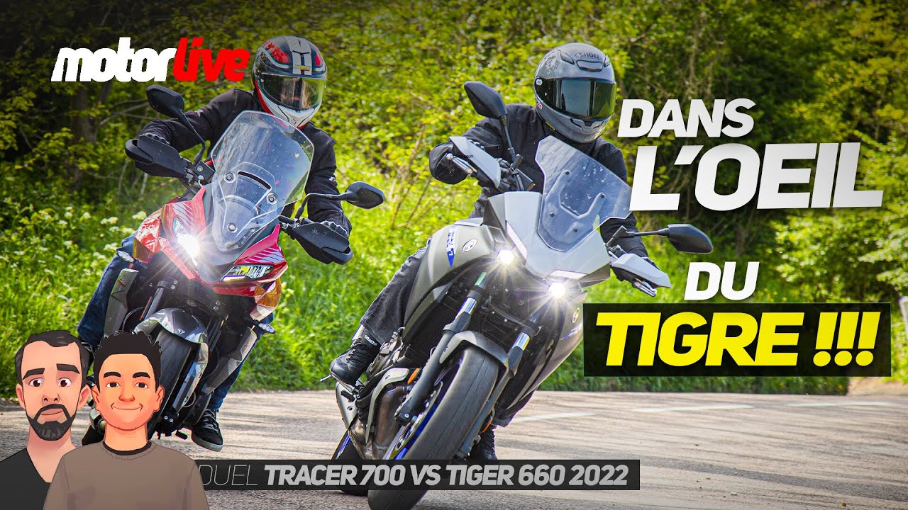 TRACER 7 vs TIGER 660 : dans l'oeil du tigre !!! - MOTORLIVE