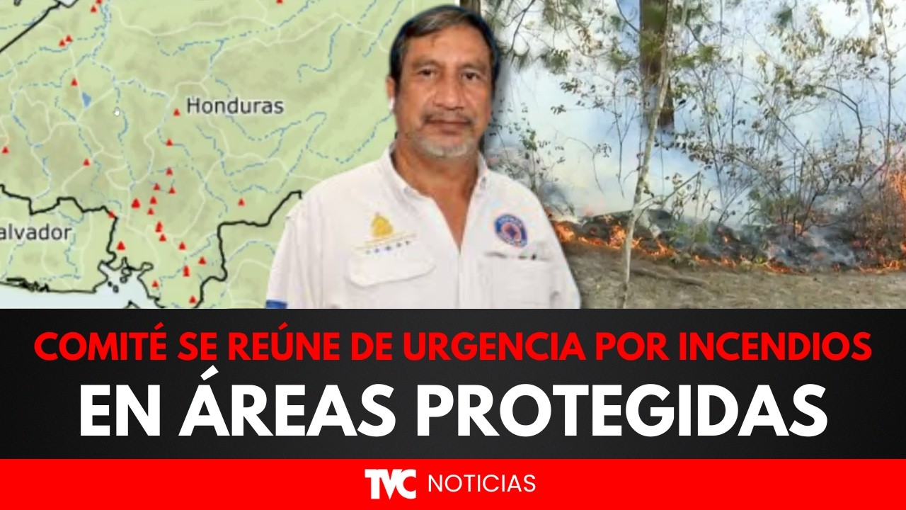 Comité de prevención se reúne de urgencia ante impacto de incendios en tres áreas protegidas