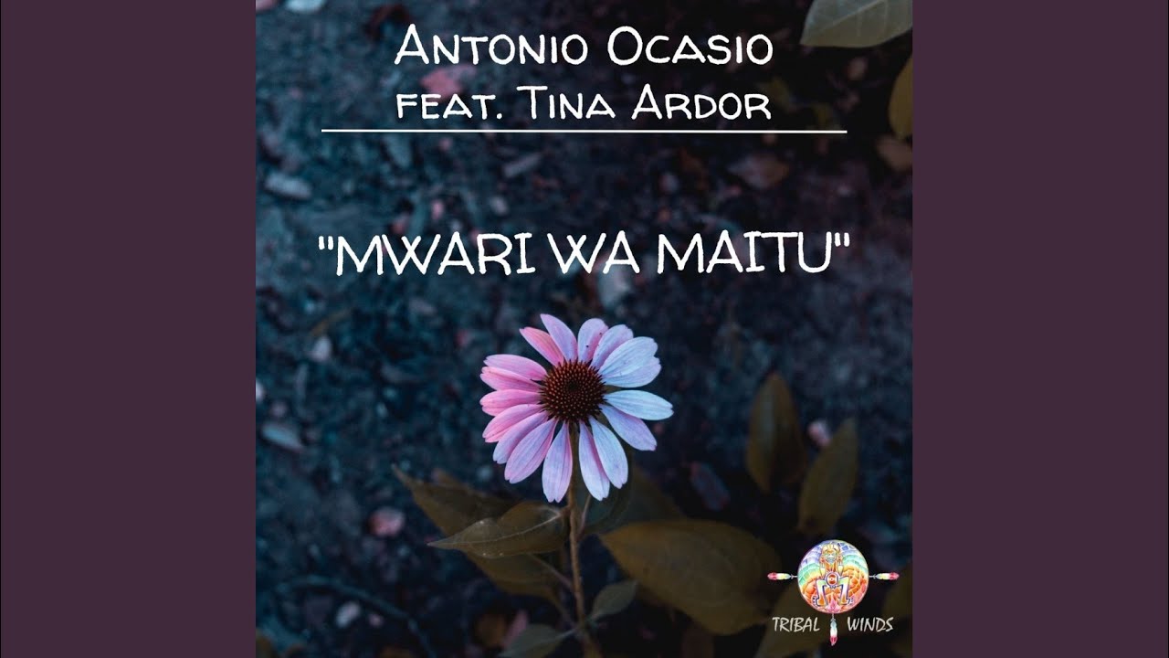 Mwari Wa Maitu