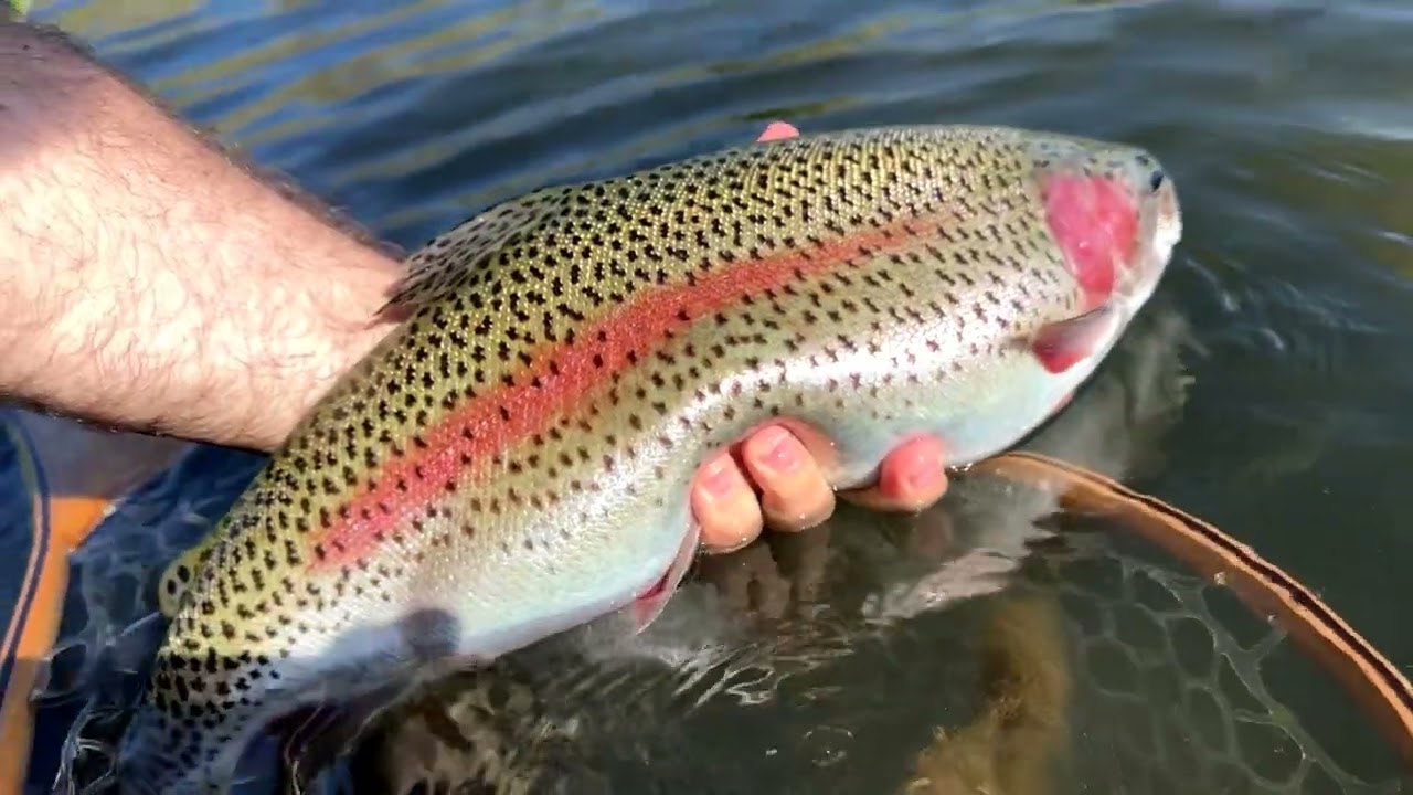 HOW TO Fish Spoons to Catch Lots of BIG Trout