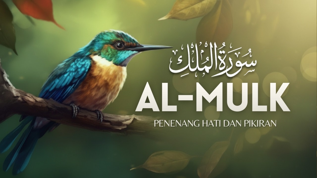 MUROTTAL SURAH AL MULK YANG MENGGELIKAN HATI, LENGKAP SURAH AL MULK, HINDARI HUKUMAN KUBURAN