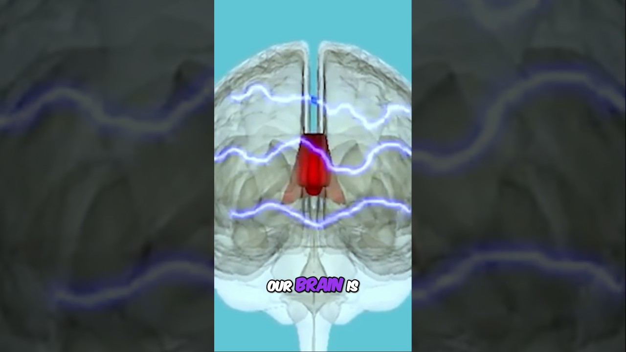 Strange Condition that SPLITS Your Brain in Two! Check Out the Full Video