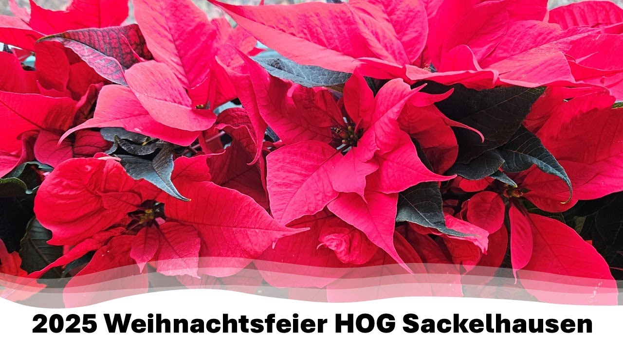 2025 12 Weihnachtsfeier HOG Sackelhausen TEIL I