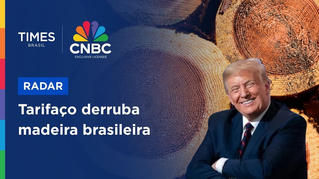 Exportações de madeira despencam com tarifaço de Trump e empregos ficam ameaçados
