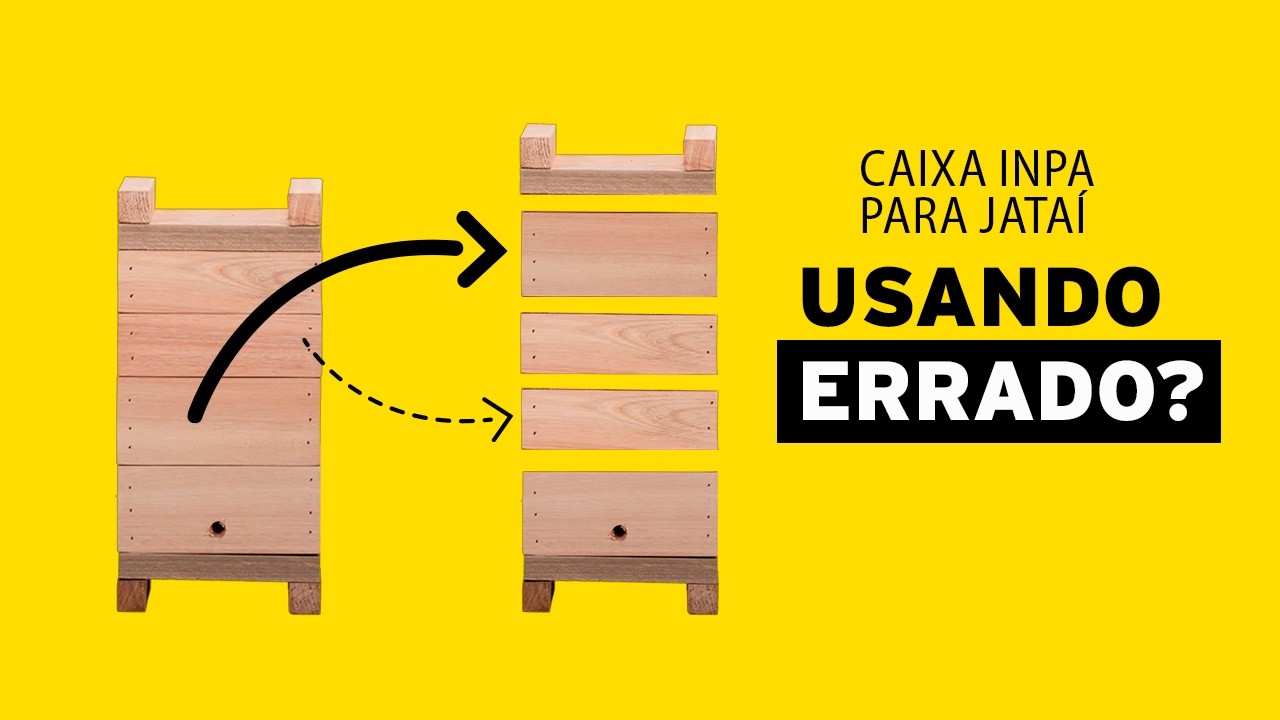 Caixa INPA para Jataí: você está usando errado?