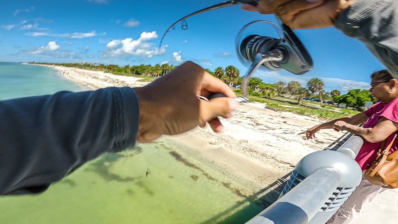 Pitching Live Bait From Fort De Soto Pier For Non-Stop Snook Action!