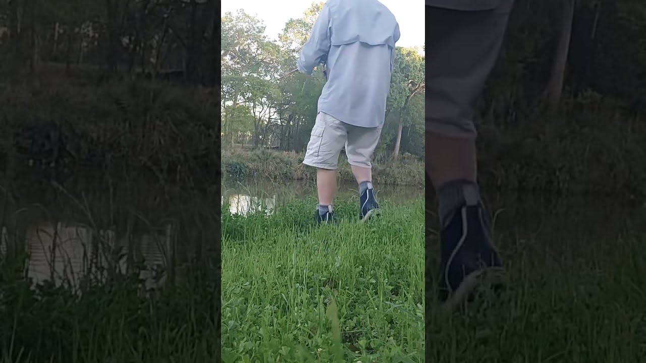 Terry B is live!