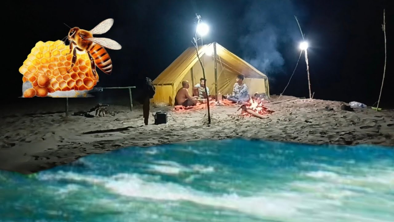 Camping hujan deras di pinggir pantai panen madu lebah asli dingin makan enak tidur nyenyak 