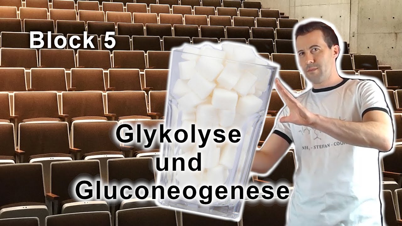 Grundvorlesung 
