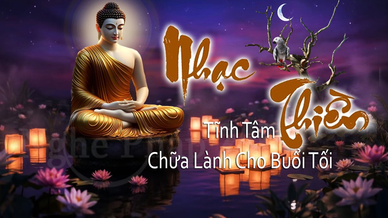 Nhạc Thiền Tĩnh Tâm – Chữa Lành Cho Buổi Tối 🌙 Hồi Phục Năng Lượng, Tâm Bình An Ngủ Ngon Suốt Đêm