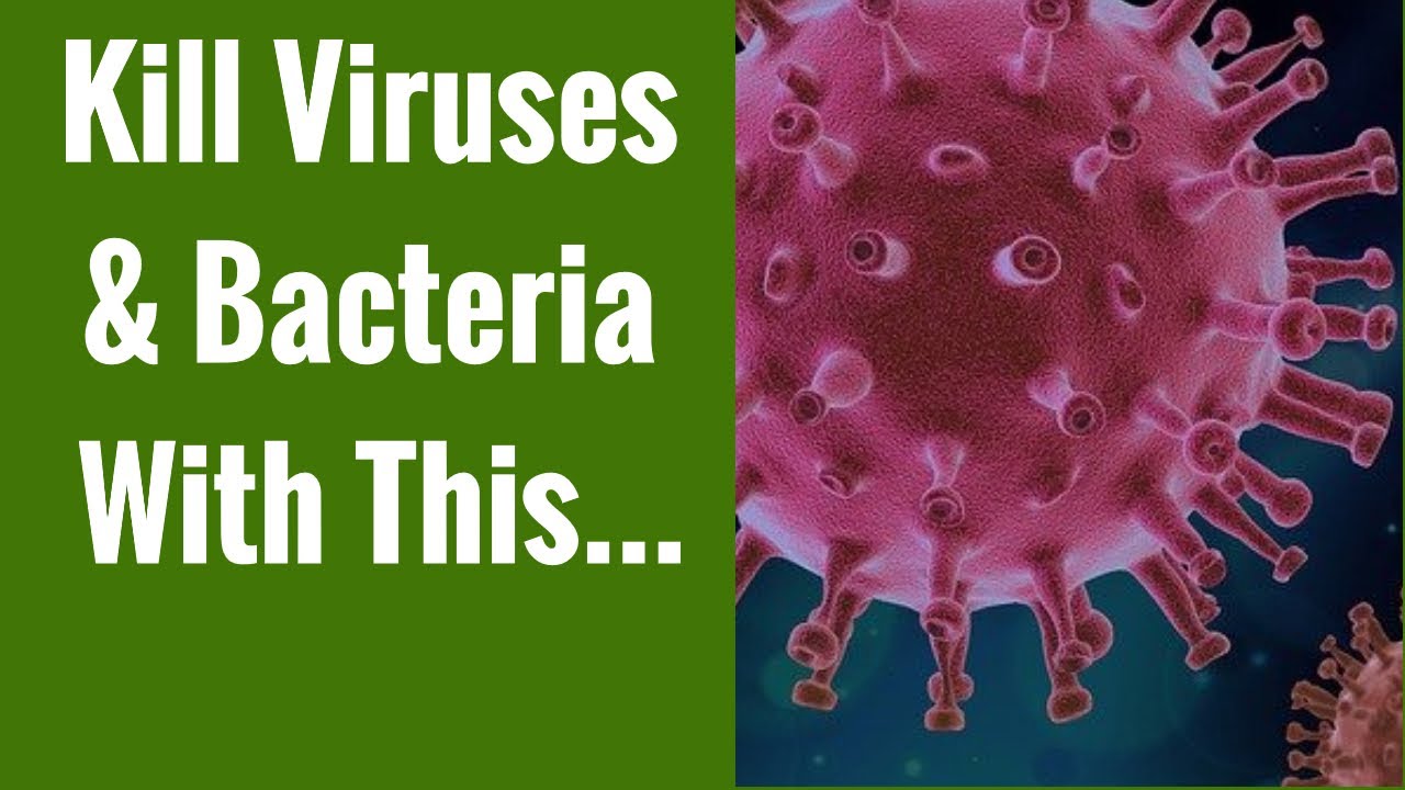 What's The Best Disinfectant for Surfaces - What Kills Germs