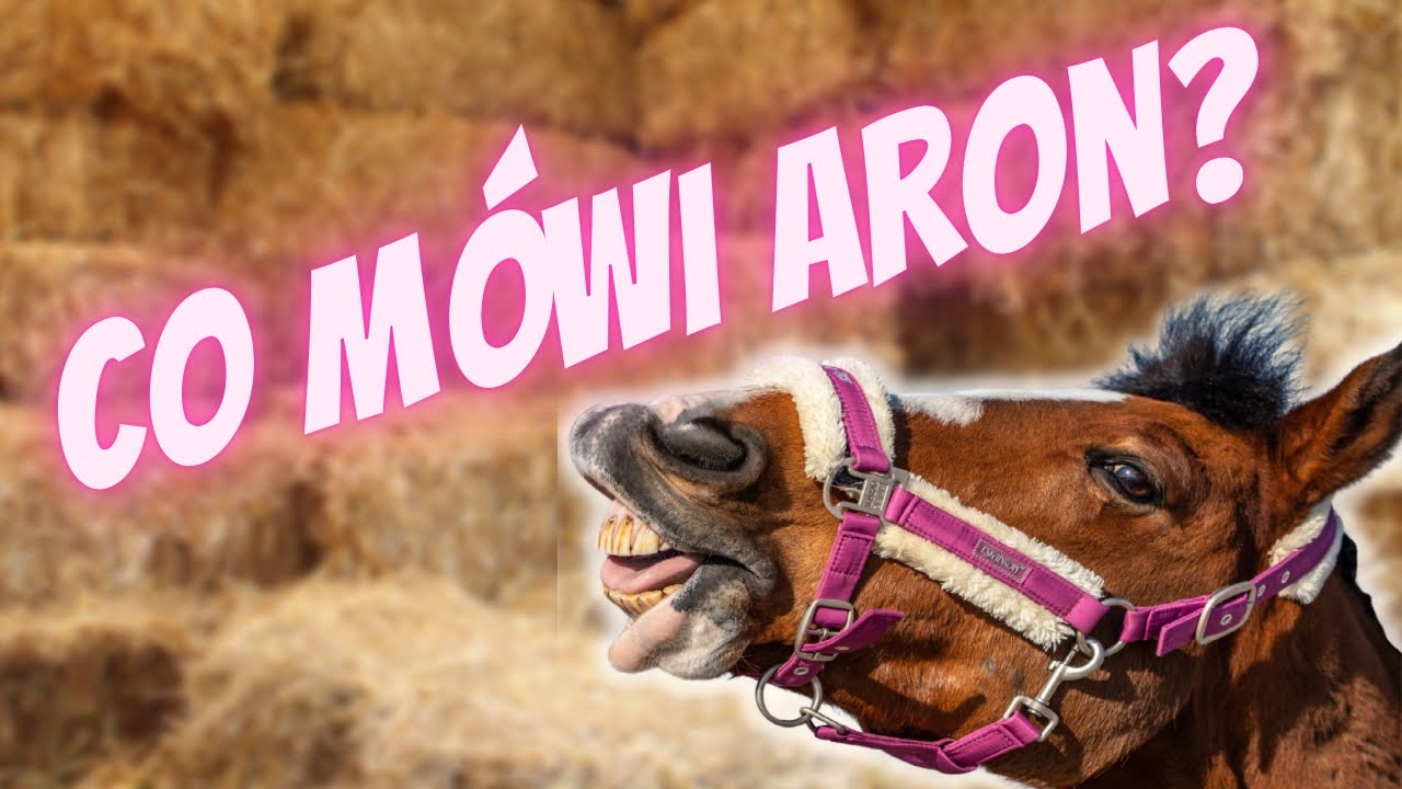 GDYBY MÓJ KOŃ UMIAŁ MÓWIĆ - CO MÓWI ARON? ❤️