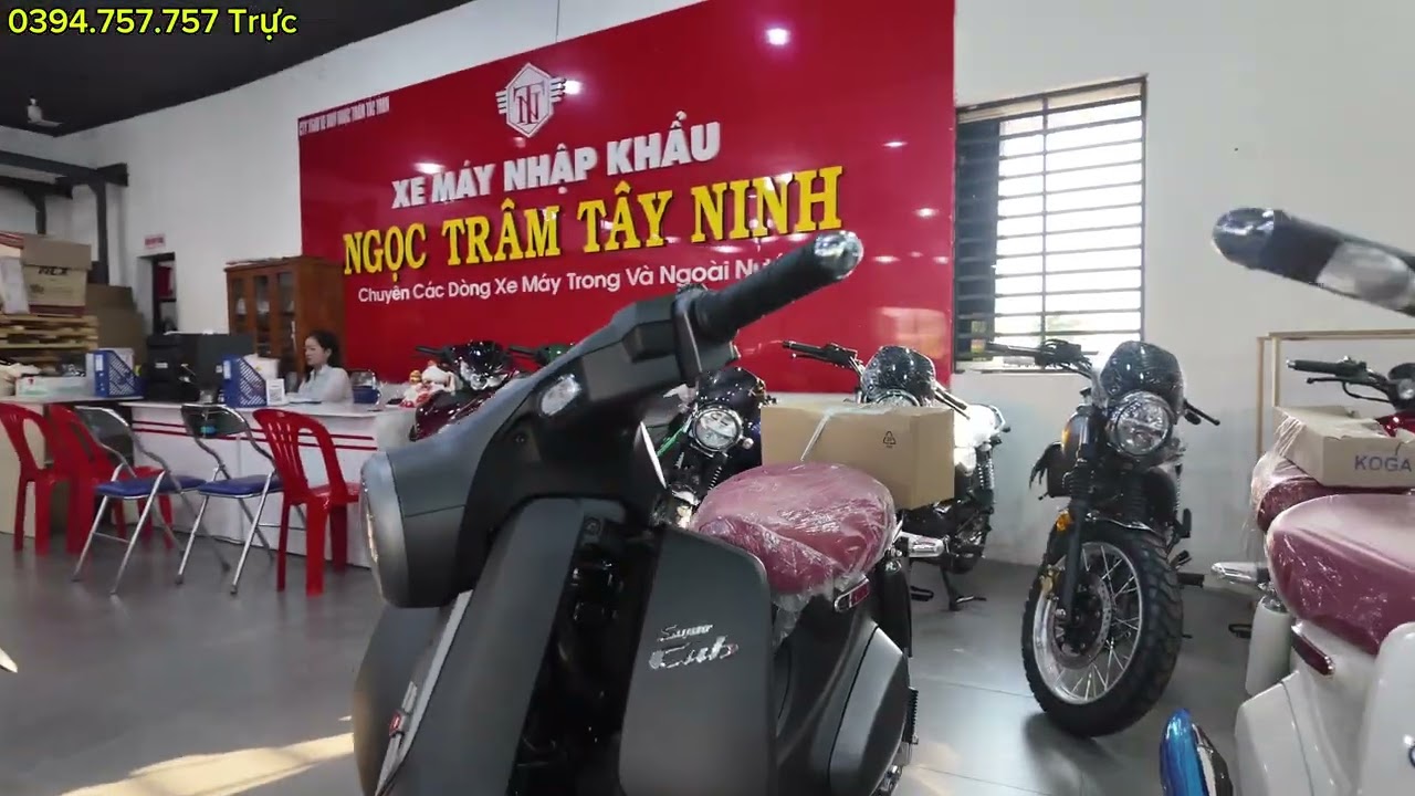 Super Cub 125 Custom và Super Cub 125 Japan xe nào đáng mua hơn? 