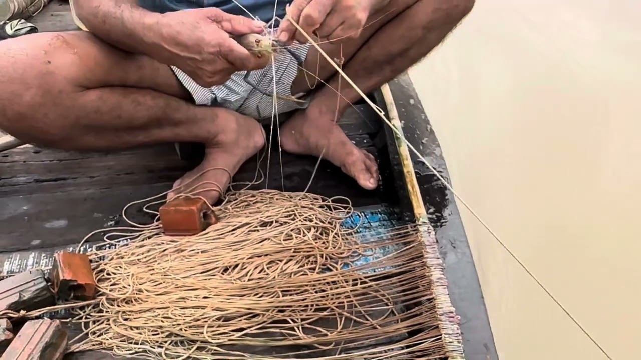 theo chân chú tư câu tôm trên sông đồng Nai .(một ngày trải nghiệm đầy thú vị)